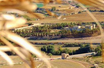 New scheme for farmers offering financial assistance for agroforestry