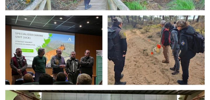 MRU invited to speak at Portugal conference on World Wetland day