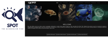Maltese marine citizen science campaigns make a quantum leap