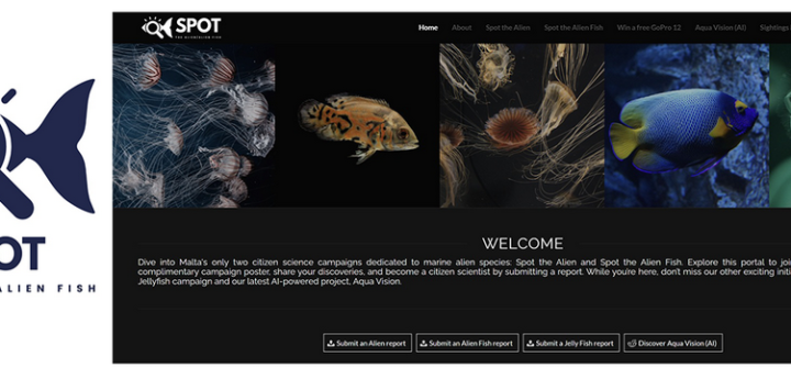 Maltese marine citizen science campaigns make a quantum leap
