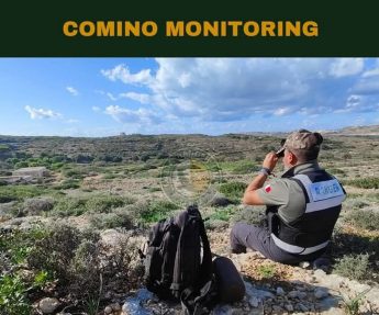 Comino: Off-leash dogs negatively impacting birds in bird sanctuary – MRU