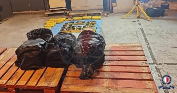 98kg of cocaine seized after being found among boxes of frozen shrimp