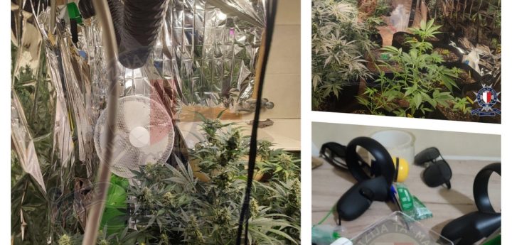 Joint Gozo Police operation leads to arrest of man for cultivation of cannabis