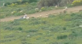 3 Gozo poachers make their escape after Police go to wrong site – MRU