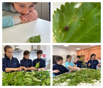 Raising awareness on sustainability and environment through photographs