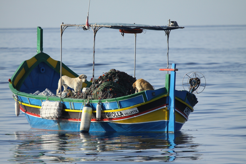 International experts unite in Malta on collaborative solutions for marine conservation