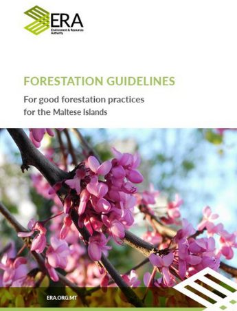 ERA publishes Guidelines for Good Forestation Practices