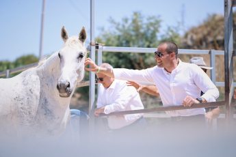 PM visits Ta’ Dbiegi artisan village and the Equine Therapy Centre in Gozo