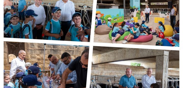 Xewkija students celebrate World Milk Day with a difference in Gozo