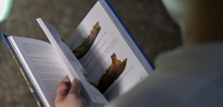 New book – Ghar Dalam: a window into Malta’s past Quaternary faunas