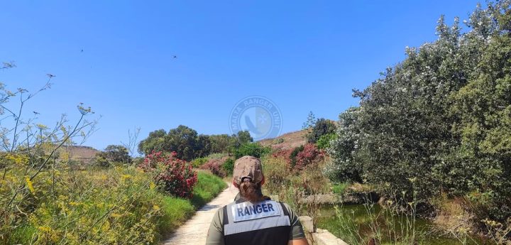 Gozo still without Environmental Police, Ranger patrols will increase – MRU