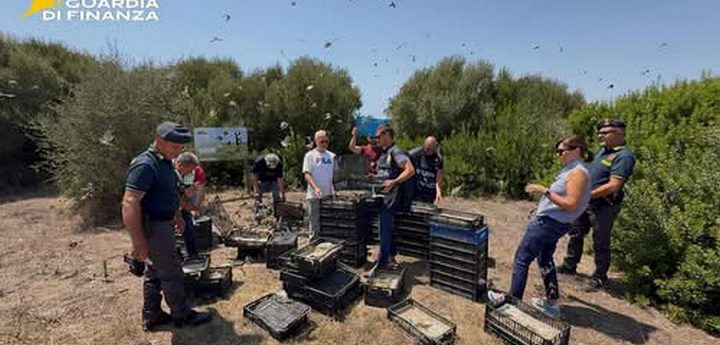BLM congratulates Italian authorities for busting the smuggling of 2,867 finches