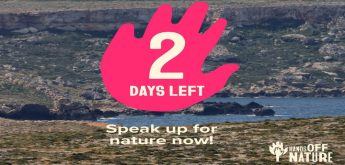 “Hands off Nature” – Join over 150,000 citizens defending EU nature laws