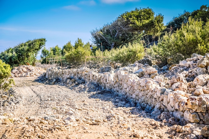Ghammar Hill project to enhance biodiversity and a more enjoyable environment at Ta' Pinu