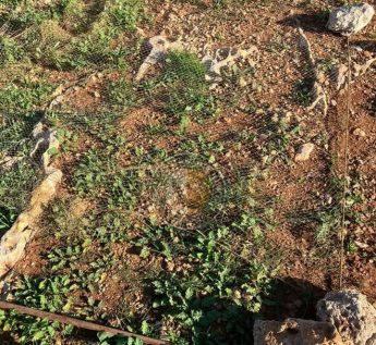 Gozo Police confiscate nets at unregistered trapping site Gozo Police confiscate nets at unregistered trapping site