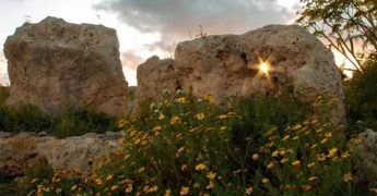 Protect this Land Performance – Highlighting protection of Santa Verna Temple, Xaghra