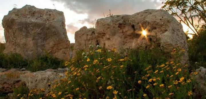 Protect this Land Performance – Highlighting protection of Santa Verna Temple, Xaghra