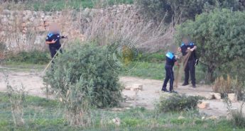 “Unattended nets” removed from finch trapping site in Sannat, Gozo – MRU