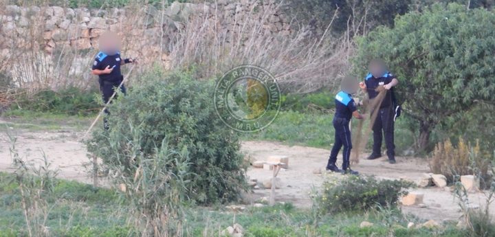 “Unattended nets” removed from finch trapping site in Sannat, Gozo – MRU