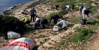 Comino clean-up yields almost 600kg of glass waste Comino clean-up yields almost 600kg of glass waste