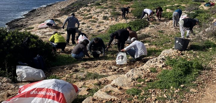 Comino clean-up yields almost 600kg of glass waste