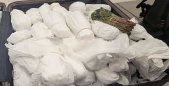 British man arrested at Malta Airport with 19kg of suspected Khat