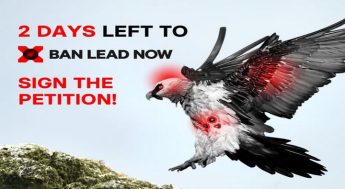 BirdLife Malta urges public to sign petition calling for the end of “lead poisoning”