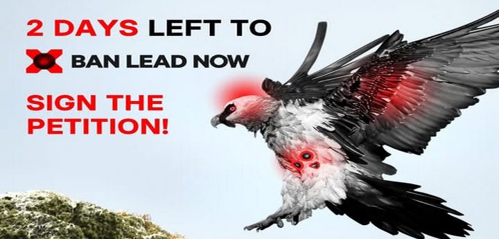 BirdLife Malta urges public to sign petition calling for the end of “lead poisoning”