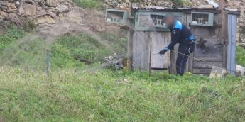 Gozo trapping site dismantled by Police, live bird decoys confiscated