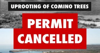 Comino: ERA permit for uprooting of trees revoked following Graffitti appeal
