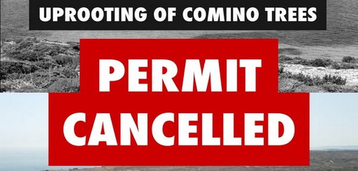 Comino: ERA permit for uprooting of trees revoked following Graffitti appeal