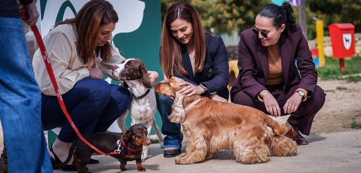 New scheme for Dog Parks and Cat Café projects within communities