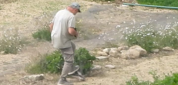 Gozo: Trapper filmed catching and ”brutally killing” protected Kestrel – CABS