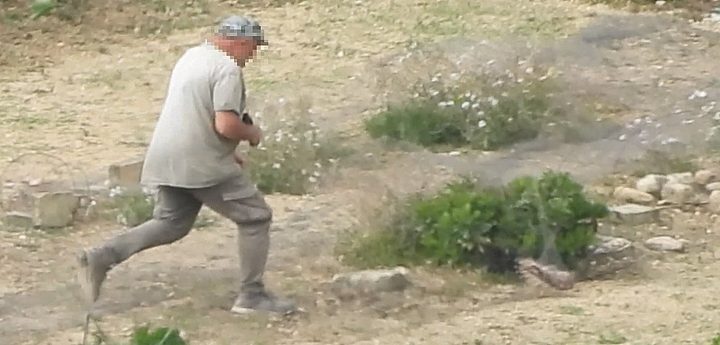 Gozo: BirdLife Malta unequivocally condemns brutal killing of Kestrel