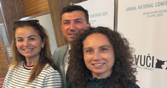 Momentum endorses a compassionate vision for animal welfare