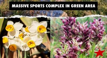NGOs ”gravely concerned” by Pembroke sports complex plan