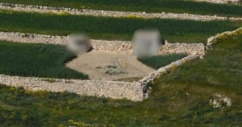 MRU ”documents 61 trapping sites in Gozo during closed season”