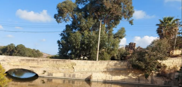 E. coli in Gozo?! By Dawn A. Salib, Ph.D.