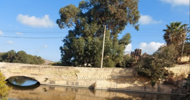 E. coli in Gozo?! By Dawn A. Salib, Ph.D.