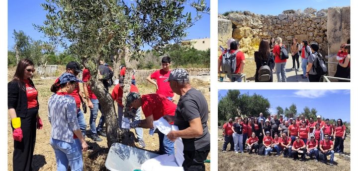 HSBC Malta employees volunteer their time at Ggantija Archaeological Park