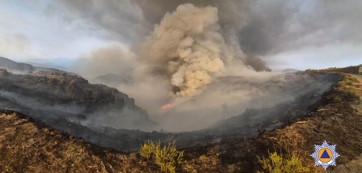 Maltese firefighters assist in Arouca wildfire operation