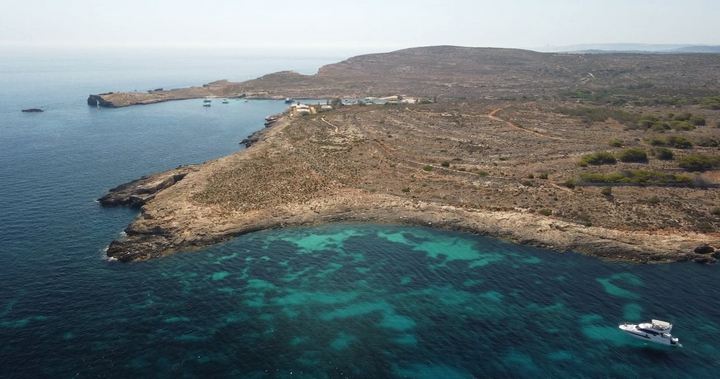 Comino: ''Trees must be viewed in context of the planning appeals reform'' - PN