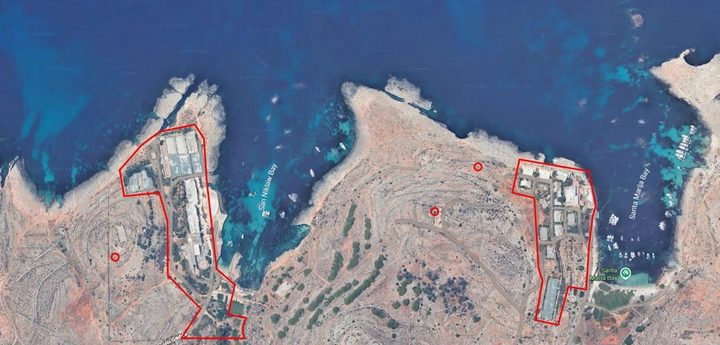 Comino trees: ERA decision on ”based on experts’ scientific advice and the laws of Malta”