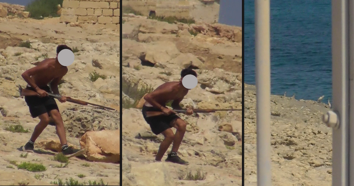 Hunter filmed shooting flock of protected Squacco Herons at Zonqor coast – BLM