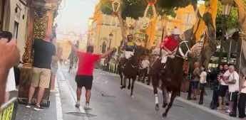 Santa Marija horse race incident being investigated – Parliamentary Secretary