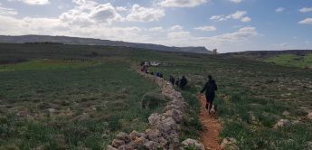 ”People have a right to walk in Malta’s countryside without being shot at” – BirdLife Malta