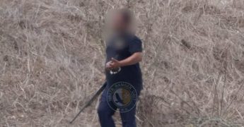 Gozo: Poacher caught shooting Turtle Dove after season closed