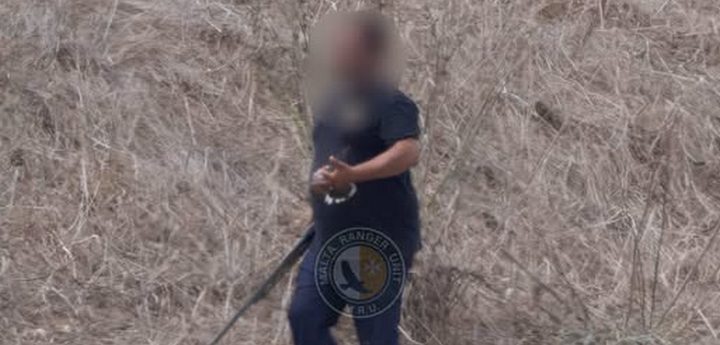 Gozo: Poacher caught shooting Turtle Dove after season closed