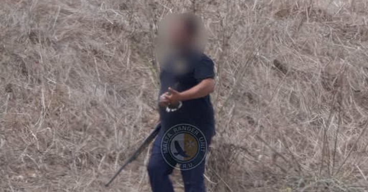 Poacher charged after Turtle Dove shot illegally hours after season closure in Gozo