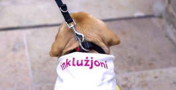 New €150,000 agreement signed for Service Dogs Malta Foundation New €150,000 agreement signed for Service Dogs Malta Foundation